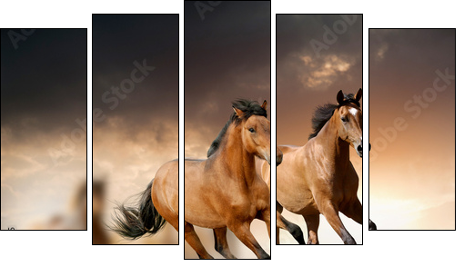 horses in sunset - Fünfteiliges Leinwandbild, Pentaptychon