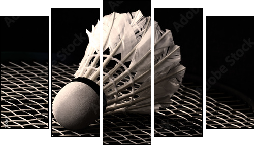 Shuttlecock on badminton racket - Fünfteiliges Leinwandbild, Pentaptychon