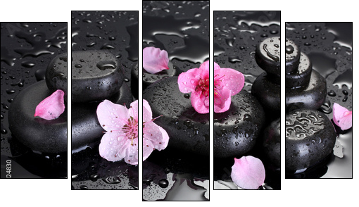 Spa stones with drops and pink sakura flowers - Fünfteiliges Leinwandbild, Pentaptychon