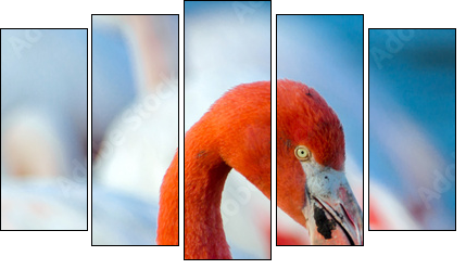 Pink flamingo on the lake - Fünfteiliges Leinwandbild, Pentaptychon