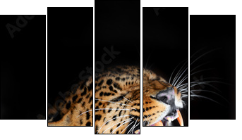 Leopard - Fünfteiliges Leinwandbild, Pentaptychon