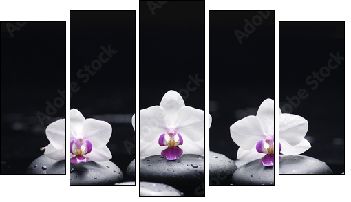 orchid flower and stones in water drops - Fünfteiliges Leinwandbild, Pentaptychon
