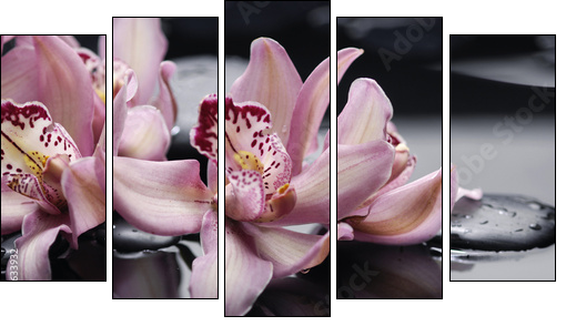 spa concept âgorgeous pink orchid and zen stones - Fünfteiliges Leinwandbild, Pentaptychon