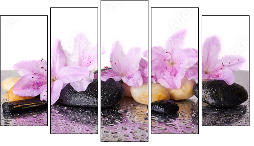 Pink flowers and black stones - Fünfteiliges Leinwandbild, Pentaptychon