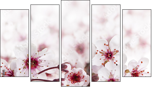 Cherry blossoms - Fünfteiliges Leinwandbild, Pentaptychon