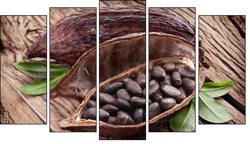 Cocoa pod - Fünfteiliges Leinwandbild, Pentaptychon