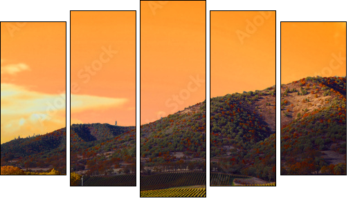 Vineyard Sunset - Fünfteiliges Leinwandbild, Pentaptychon