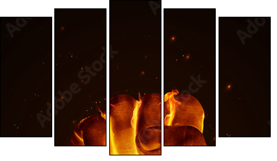 Fire fist - Fünfteiliges Leinwandbild, Pentaptychon