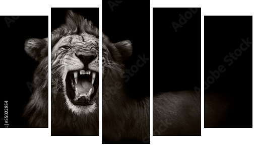 Lion displaying dangerous teeth - Fünfteiliges Leinwandbild, Pentaptychon