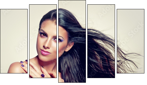 Beautiful brunette with long hair flying - Fünfteiliges Leinwandbild, Pentaptychon
