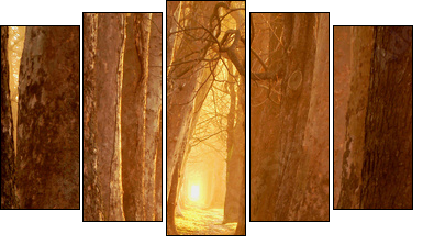 magic path - Fünfteiliges Leinwandbild, Pentaptychon