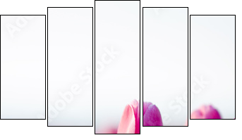 beautifull tulips - Fünfteiliges Leinwandbild, Pentaptychon