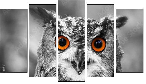 leuchtende Augen - Uhu - Fünfteiliges Leinwandbild, Pentaptychon