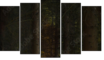Enchanted nature series - Mushrooms path - Fünfteiliges Leinwandbild, Pentaptychon