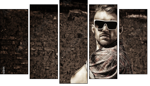 sunglasses - Fünfteiliges Leinwandbild, Pentaptychon