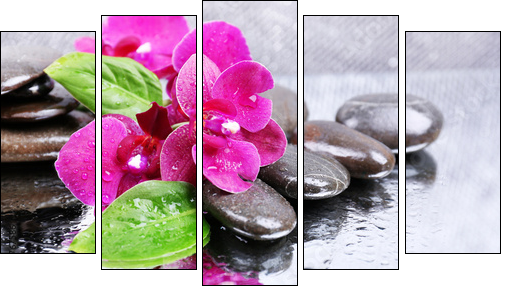 Composition with beautiful blooming orchid with water drops and - Fünfteiliges Leinwandbild, Pentaptychon