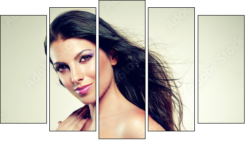 Beautiful brunette with long hair flying - Fünfteiliges Leinwandbild, Pentaptychon