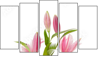 Pink lily - Fünfteiliges Leinwandbild, Pentaptychon