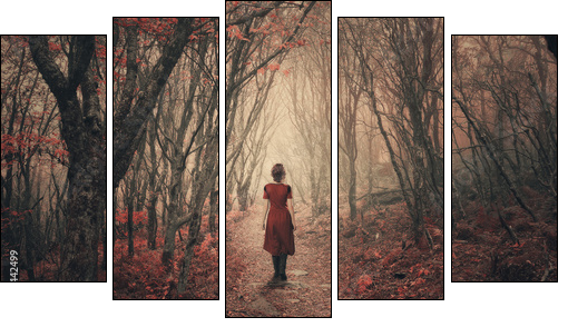 Woman and foggy forest. - Fünfteiliges Leinwandbild, Pentaptychon