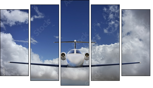 Executive in flight - Fünfteiliges Leinwandbild, Pentaptychon