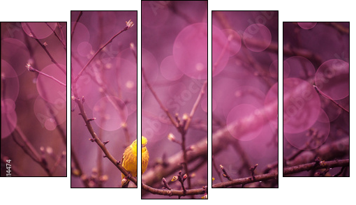 Yellowhammer siiting on a branch in a purple inviroment - Fünfteiliges Leinwandbild, Pentaptychon