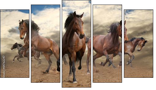 five indomitable bay horse galloping - Fünfteiliges Leinwandbild, Pentaptychon