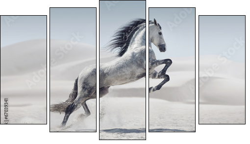 Picture presenting the galloping white horse - Fünfteiliges Leinwandbild, Pentaptychon