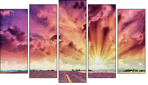 Lavender meadows in summer, Provence - France - Fünfteiliges Leinwandbild, Pentaptychon