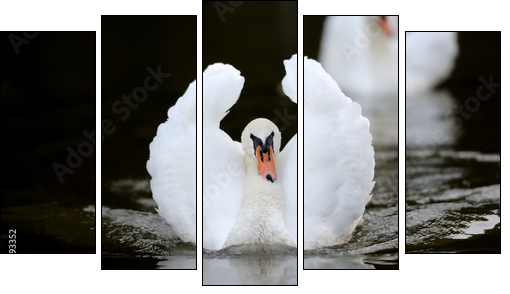 Swan in the lake - Fünfteiliges Leinwandbild, Pentaptychon