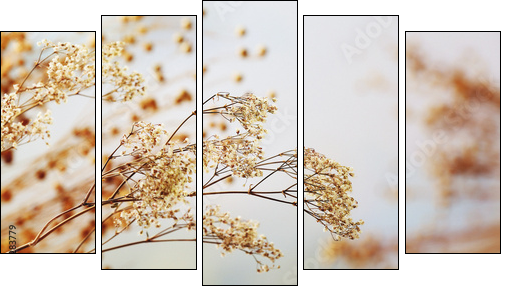 Dried flowers background - Fünfteiliges Leinwandbild, Pentaptychon