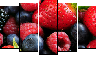 Assorted fresh berries - Fünfteiliges Leinwandbild, Pentaptychon