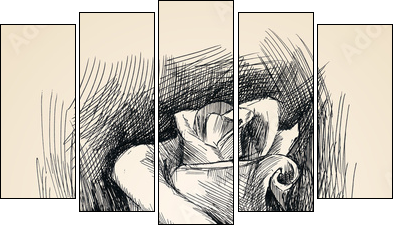flower sketch - Fünfteiliges Leinwandbild, Pentaptychon