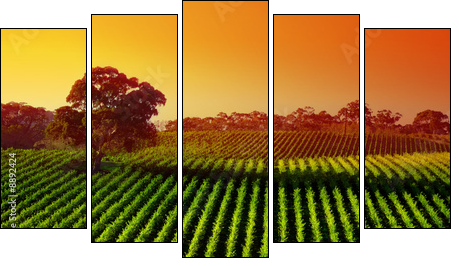 Beautiful Vineyard Landscape with large gum tree - Fünfteiliges Leinwandbild, Pentaptychon