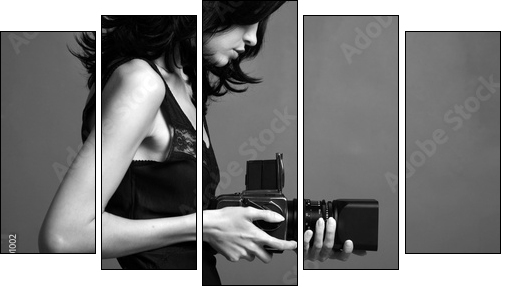 Fashion portrait of young photographing lady - Fünfteiliges Leinwandbild, Pentaptychon