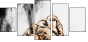 110688808