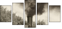 11284076