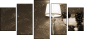 25666505
