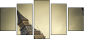 28559738