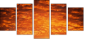29892519