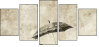 30497770