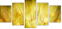 30556275