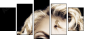 34938176