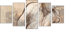 42960338