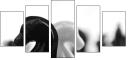 49013321
