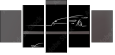 50163980