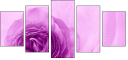 52109021