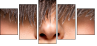 59175977