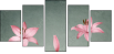 61954635