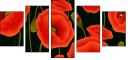 64821989