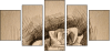 80258727